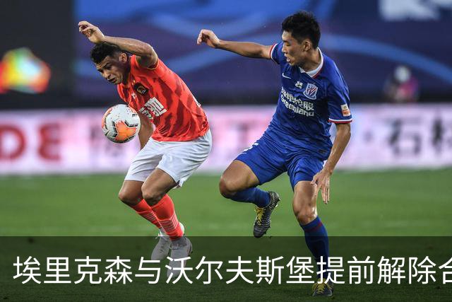 埃里克森与沃尔夫斯堡提前解除合同，专注于康复